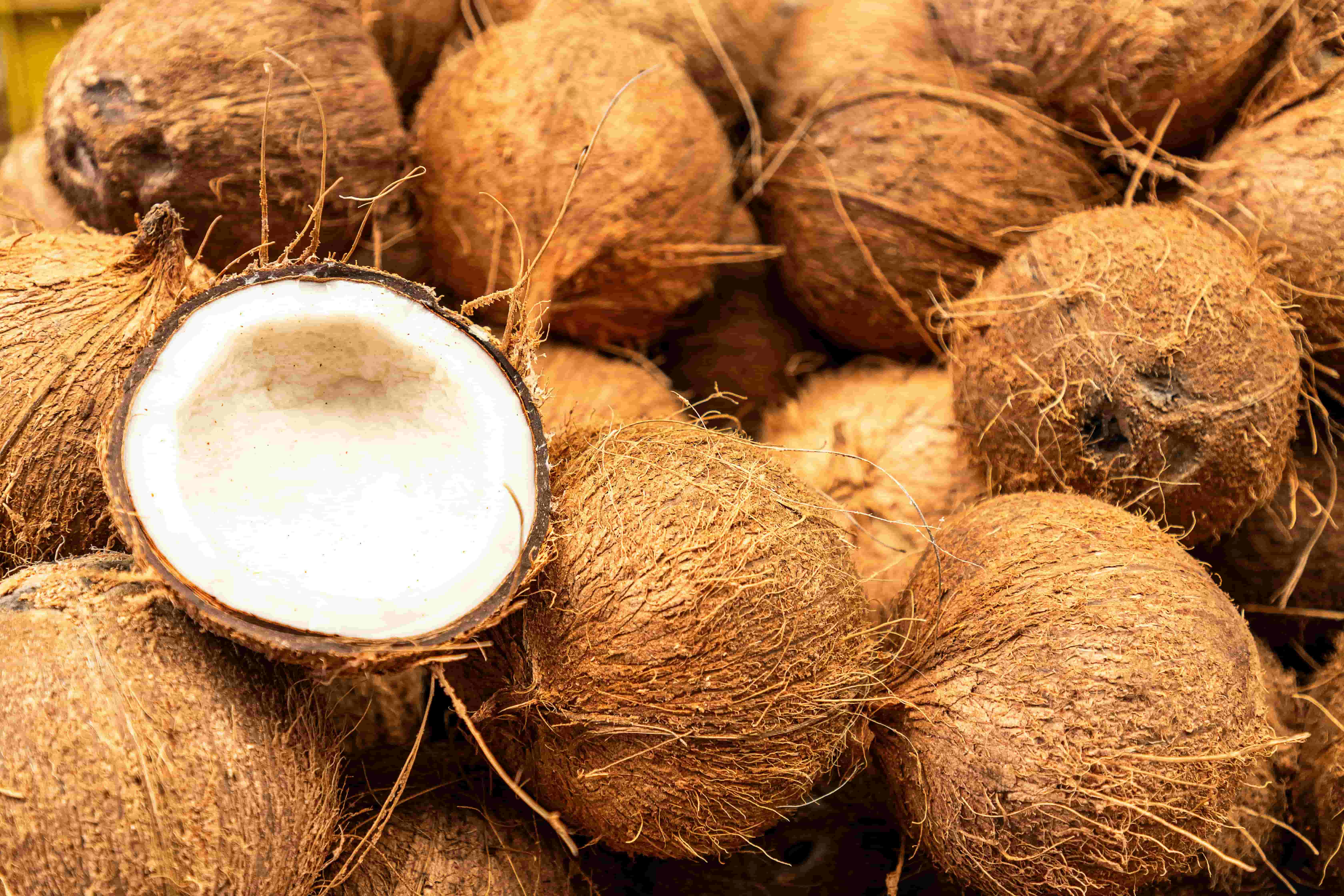 Coconut Export India